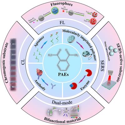 Recent advances of optical sensors for point-of-care detection of phthalic acid esters